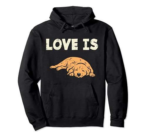 Love Is Golden Retriever Animal Pet Dog Lover Owner Gift Sudadera con Capucha