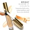 LAURA GELLER NEW YORK The Bright Stuff Illuminating Under Eye Concealer with Cooling Metal Tip - Light Coverage (01 Porcelain)