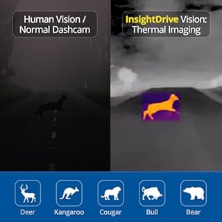 Robofinity InsightDrive Thermal Camera for Car, Infrared Dashcam with 656ft Detection & Deer Collision Alert, Car Night Vision System for Off-Road & Highway Safety