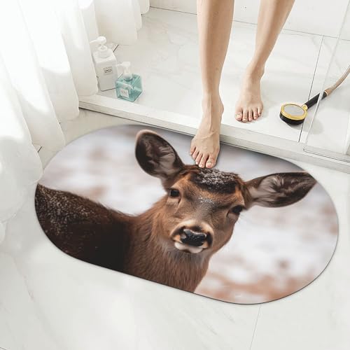 Tapis de bain en pierre terre de diatomée super absorbant cerf - 2