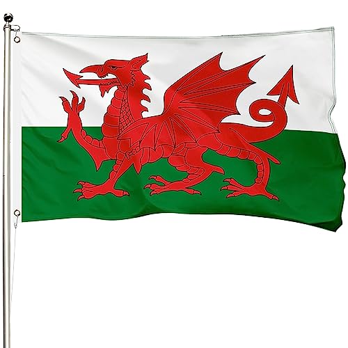 Drapeau du Pays de Galles en polyester robuste 400D résistant
