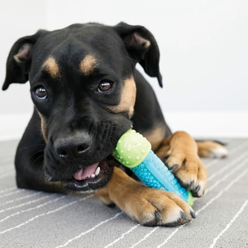 KONG – CoreStrength Ball - Langlebiges Kauspielzeug für Zahnpflege – Für Große Hunde