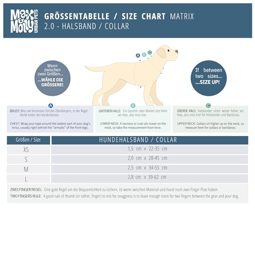 Max & Molly Hundehalsband mit Gotcha! Smart ID Sicherheitsanhänger, Matrix 2.0 Schwarz/L, Halsband Hund Gepolstert & Reflektierend – Komfort für deinen treuen Begleiter