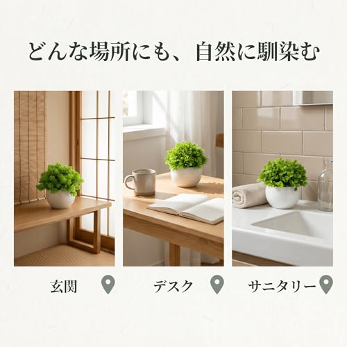 sportw フェイクグリーン 観葉植物 3点セット 卓上 ミニ 人工グリーン 鉢植え おしゃれ インテリアグリーン 水やり不要 枯れない 小型 北欧風 玄関 デスク トイレ 寝室 飾り ギフト [5]