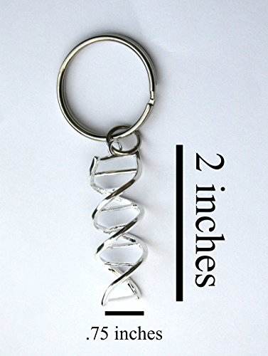 Dna Helix Science Key Chain #TOP2