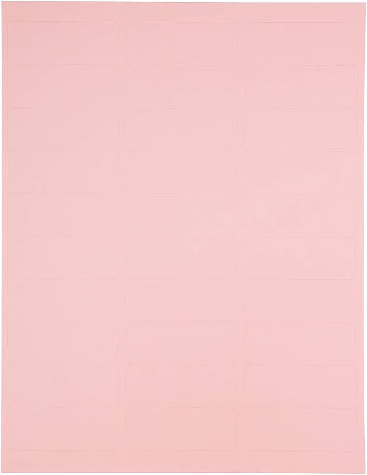 JAM PAPER Return Address Labels - Standard Mailing - 1 x 2 5/8 - Baby Pink Pastel - 120 Shipping Labels/Pack