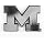 Michigan Wolverines