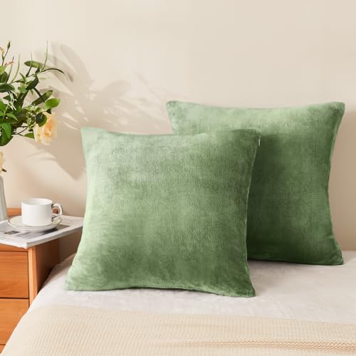 Image of BEDELITE Velvet Pillow Covers with Zipper, Sage Green, 18x18 Inches, 2 Pack | Super Soft, Cozy Luxury Feel, Square Decorative Pillow Covers, for Bedroom Sofa Couch, All-Season Comfort, Easy Care
