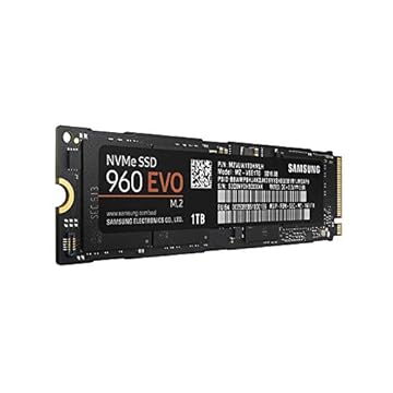 Samsung SSD 960 EVO Series - PCIe NVMe de 1 TB - SSD interno M.2 (MZ-V6E1T0BW