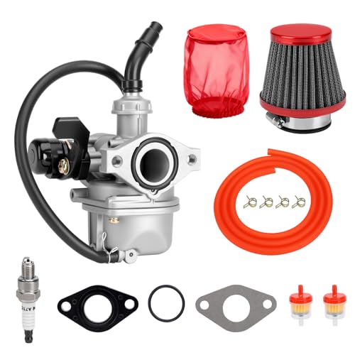 PZ19 Carburetor Kit for 125cc