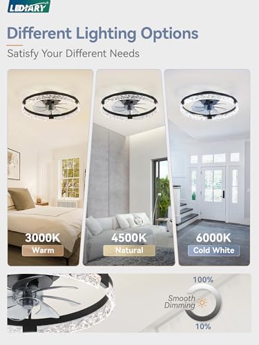 Image of LEDIARY 20 inch Low Profile Ceiling Fans with Lights, APP & Remote, Black