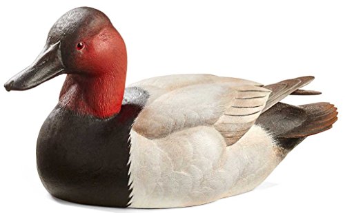 Canvasback Small Decoy by Sam Nottleman