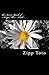 Produktbild the Secret Spark of Asrya Mun : witch