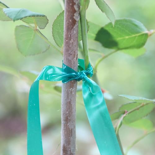 Cinta adhesiva verde para plantas, pack 20 rollos, 2700 pies miniatura 5