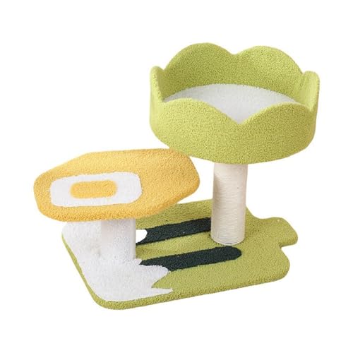 Cenz-888 L̖ - L̖ L nMO{[ L̂ L Ƃ܂ L XNb`|Xg Li  L Rh~jAp (STCY)