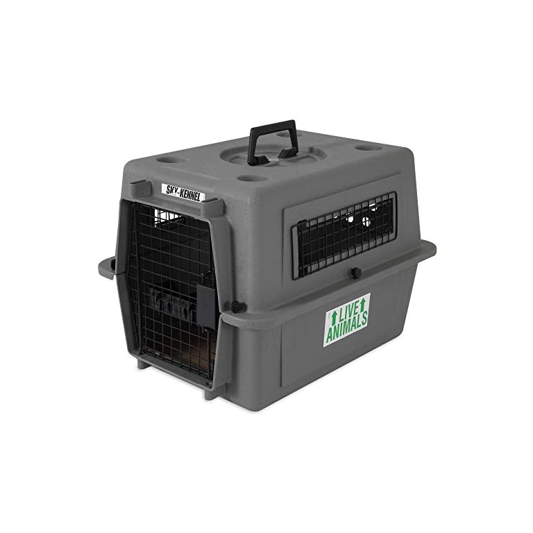 Petmate Sky Kennel Pet Carrier, 21 Inch iamyourpet