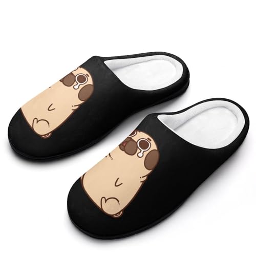 [STEBVI] Xbp  Aj Aj}  pO  G [V[Y  nEXXbp  Y fB[X  ~ g 􂦂 qp p jp v[g