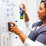 Expo Dry Erase Whiteboard Cleaning Spray, 8 oz (256 mL)
