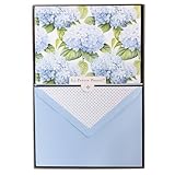 Hortensia Designer Cards by Graphique Luxe Collection, Silver Foil Embossed Stationary Boxed Set, 10 Blank Cards with 11 Envelopes, All Occasion Greetings, 5.25