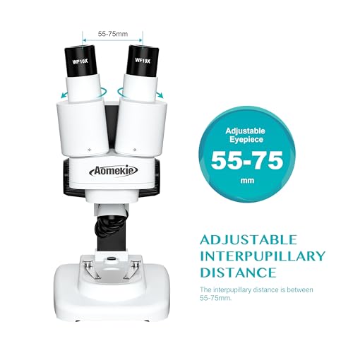 Aomekie 20X/50X Magnifications Stereo Microscope with WF eyepieces for Students and Adults Portable LED Microscope with 10Pcs Slides Insect Specimen 12Pcs mineral specimens - Image 5