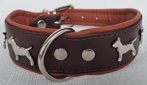 Bullterrier HUNDEHALSBAND - Halsband, Halsumfang 33-41cm/45mm, Leder Schwarz; Braun/Cognac (Braun/Cognac)