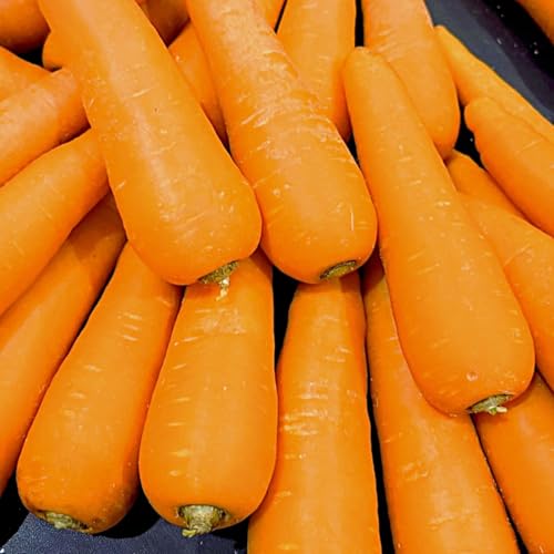 [みさわのやさい] フルーツにんじん 国産 10kg 訳あり 人参 ニンジン 野菜 北海道産 長崎産 千葉産 家庭用 業務用のサムネイル