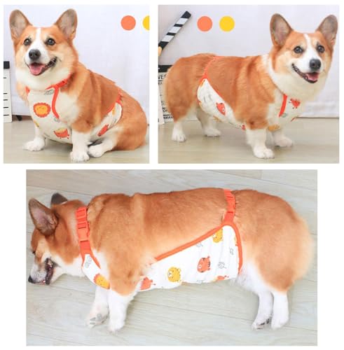 BT Bear Dog Belly Cover,Pet Warm Abdominal Protective Clothing Dog Bellyband Vest Dog Surgery Recovery Suit for Cats Puppy Small Dogs(M,Blue-female) - Image 3
