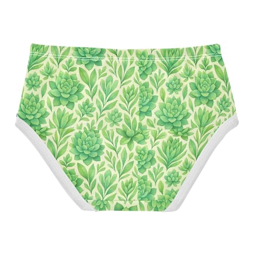Toddler Underwear Floral 2t Cotton Panties Little Girl Animal Briefs Underpants Watercolor Pastel Green Succulents2