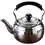 Kivivaka Tetera de acero inoxidable con filtro integrado suelto para té de hojas, retención de calor y diseño, color negro y plateado, 13,5 x 17,5 cm, color plateado