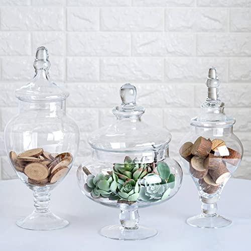 Tableclothsfactory Set of 3 Clear Apothecary Glass Candy Jars with Lids - 12