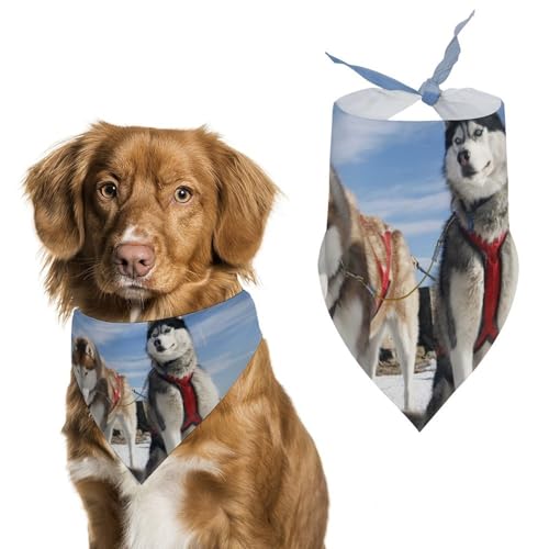 VxAnXL[ 킢  ybg o_i t^I lN^C E₷ ybgpi  _炩 U  v[g Mtg ybgo_i OpXJ[t  L tȒP @ U Hp K o 