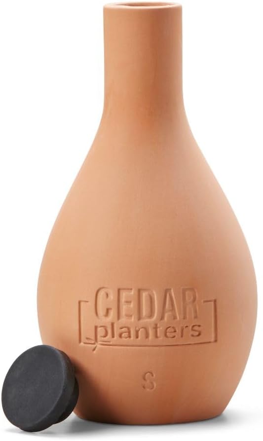 EARTH ELEVATED Self-Watering Clay Olla Pot for Raised Garden Beds and Planters (Small)