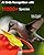 Hummingbird Feeder with Camera for Outdoors with 2K Bird Watching Camera, AI Identify 10000+, Ant & Bee Proof, Instant Notification, Idea Gift for Bird Lover
