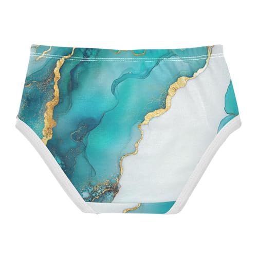 Training Panties Hipster Triangle Panties Comfort Underwear for Kids in Sizes 2T,3T, 4T, 5T, 6Y and 8Y2