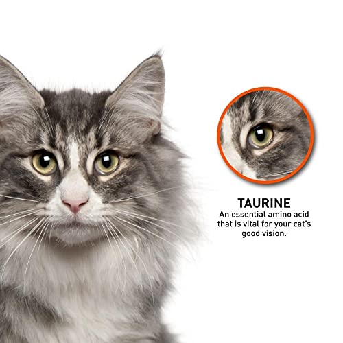 Image of ProDiet Dry Cat Food Gourmet Seafood for Adult, (1+Years) 500g Pack