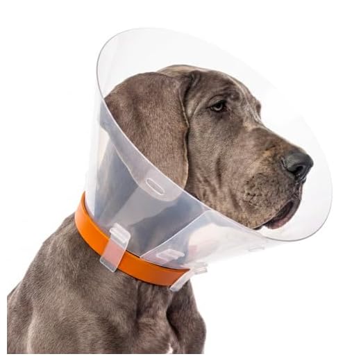 Croci Elizabethan Collar for Dogs