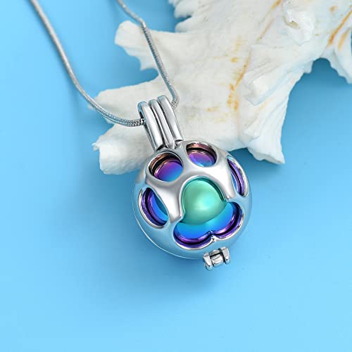Oinsi Pet Cremation Jewelry For Ashes Urn Necklace For Dog Ashes Holder Paw Locket Keepsake Memorial Pendant Best Friends Women Men (Silver With Rainbow) #TOP4