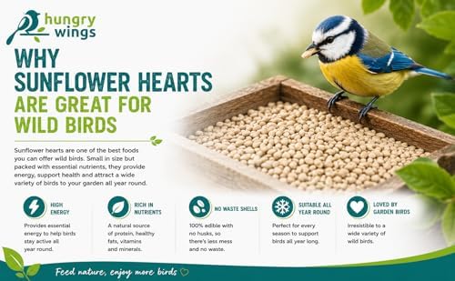 Premium Wild Bird Food 5L Refill, (5L Bag, Sunflower Hearts) - View 5