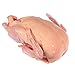 MeinMetzger Ente, Grillente frisch ca. 2.100 g (+/- 150 g)
