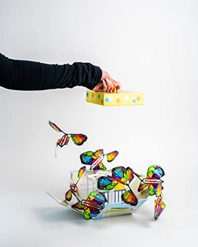 SendaCake Teacher Appreciation Bookworm Flying Butterfly Surprise Explosion Gift Box - Delicious Cakes for Delivery - Gift for All Ages & Ideal for All Occasions