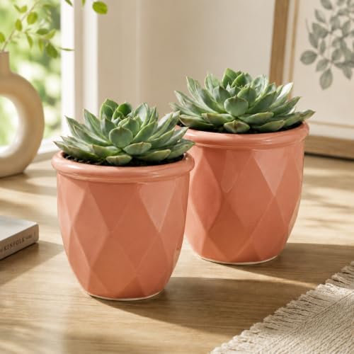 Image of ecofynd 4 Inch Ceramic Plant Pots with Drainage Hole, Modern Decorative Clay Flower Pots for Indoor Plants, Home Garden Decor for Living Room, Bedroom & Interior Spaces (Pack of 2, CPOT043-PNK)