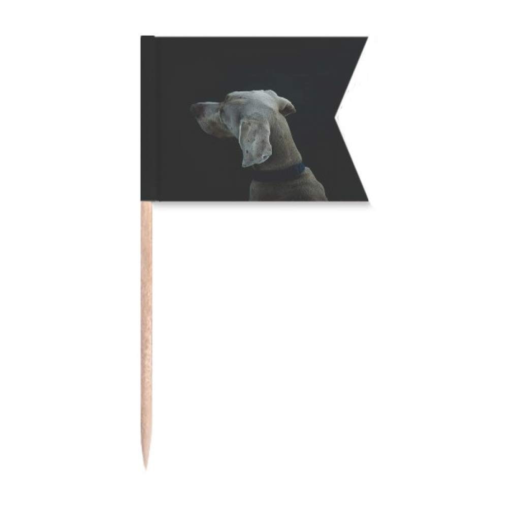Nuit solitaire de votre chien apaisée avec le gâteau de fête DIYlab