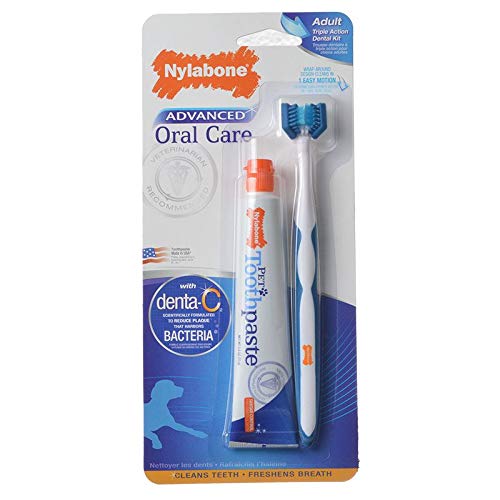 Nylabone Advanced Oral Care Dog Dental Kit Chaar, 57 OFF