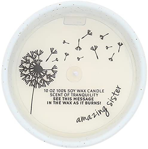 Pavilion - I Always Wished For A Sister Like You - 10-Ounce Surprise Hidden Message Natural Soy Wax Candle Cotton Scented, 1 Count (Pack Of 1), 3.5” X 4” #TOP5