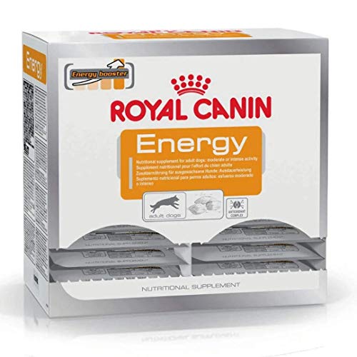 Royal Canin Hundesnack Energy 50g, 30er Pack (30 x 50 g)