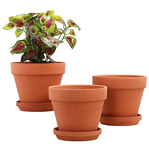 Fengson 8 Inch Clay Pot for Plant with Saucer,3 Pack Large Terra Cotta Plant Pot with Drainage Hole, Clay Planters Pot, Terracotta Pot for Indoor Outdoor Plant,Round Flower Planter Pots for Plants Fengson 8 Inch Clay Pot for Plant with Saucer,3 Pack Large Terra Cotta Plant Pot with Drainage Hole, Clay Planters Pot, Terracotta Pot for Indoor Outdoor Plant,Round Flower Planter Pots for Plants