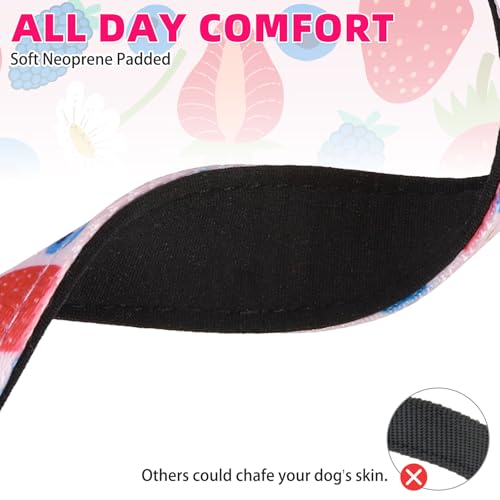 Image of Martingale Collar for Dogs for Small Medium Large Dogs, Soft Padded Nylon No Pull Dog Collar with Buckle, Adjustable No Slip Heavy Duty Durable Puppy Training Collar for Boys Girls, Pink L
