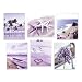 QPOKLAF Beach Wall Art Prints Bathroom Tropical Wall Decor,Coastal Posters Tree Picture Bedroom Aesthetics Decorations Set of 6(8x10inch,Unframed).