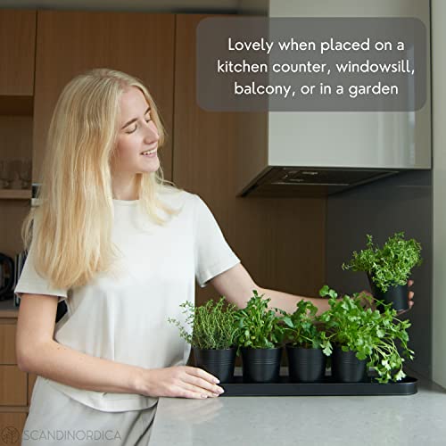 Scandinordica Black Herb Planter – 5 Herb Pots With Drainage Holes And Tray, Windowsill Planter, Indoor Herb Garden Planter Outdoor, Herb Pots For Indoor Plants | Windowsill Herb Garden #TOP4