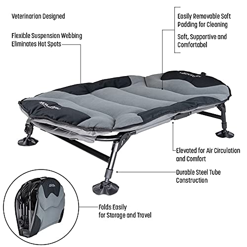 Momarsh Elevated Dog Cot With Washable Soft Pad & Folding Frame For Travel & Home Use| All In One Pet Bed Cot System For Dogs #TOP2